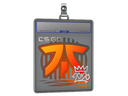 Sticker Slab | Fnatic | 2020 RMR