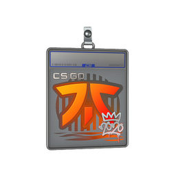 Sticker Slab | Fnatic | 2020 RMR