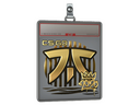 Sticker Slab | Fnatic (Gold) | 2020 RMR