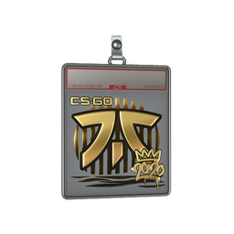 Sticker Slab | Fnatic (Gold) | 2020 RMR