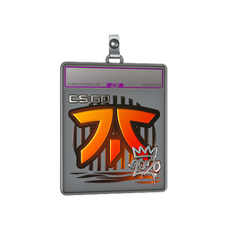 Sticker Slab | Fnatic (Foil) | 2020 RMR