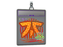 Sticker Slab | Fnatic (Holo) | 2020 RMR