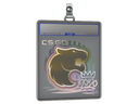 Sticker Slab | FURIA | 2020 RMR