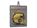 Sticker Slab | FURIA (Gold) | 2020 RMR