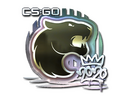 Sticker | FURIA (Foil) | 2020 RMR