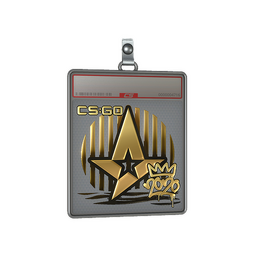 Sticker Slab | Astralis (Gold) | 2020 RMR
