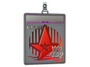 Sticker Slab | Astralis (Foil) | 2020 RMR