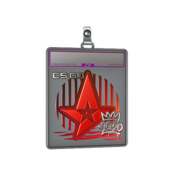 Sticker Slab | Astralis (Foil) | 2020 RMR