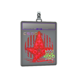 Sticker Slab | Astralis (Holo) | 2020 RMR