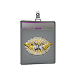 Sticker Slab | Luck Skill (Foil)