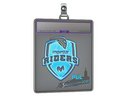 Sticker Slab | Movistar Riders (Holo) | Stockholm 2021