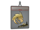Sticker Slab | Team Spirit (Gold) | Stockholm 2021