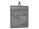 Sticker Slab | TeSeS (Holo) | Stockholm 2021