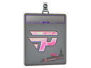Sticker Slab | paiN Gaming (Holo) | Stockholm 2021