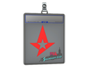 Sticker Slab | Astralis | Stockholm 2021
