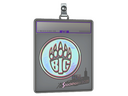 Sticker Slab | BIG (Holo) | Stockholm 2021
