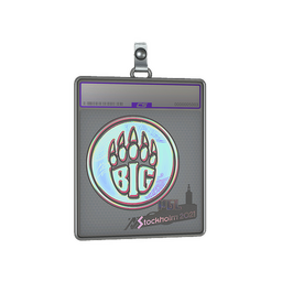 Sticker Slab | BIG (Holo) | Stockholm 2021
