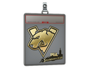 Sticker Slab | Virtus.Pro (Gold) | Stockholm 2021