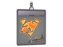 Sticker Slab | Virtus.Pro (Holo) | Stockholm 2021