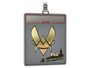 Sticker Slab | Vitality (Gold) | Stockholm 2021