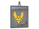 Sticker Slab | Vitality (Holo) | Stockholm 2021