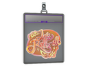 Sticker Slab | Let's Roll-oll (Holo)