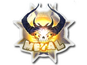 Sticker | Metal