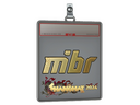 Sticker Slab | MIBR (Gold) | Shanghai 2024