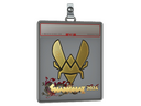 Sticker Slab | Vitality (Gold) | Shanghai 2024
