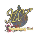 Sticker | 910 (Holo) | Shanghai 2024