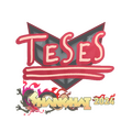 Sticker | TeSeS | Shanghai 2024