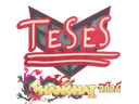 Sticker | TeSeS | Shanghai 2024