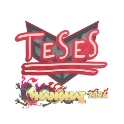 TeSeS | Шанхай-2024