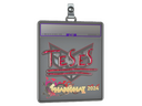 Sticker Slab | TeSeS (Glitter) | Shanghai 2024