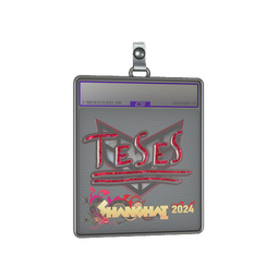 Sticker Slab | TeSeS (Glitter) | Shanghai 2024