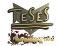 Sticker | TeSeS (Gold) | Shanghai 2024