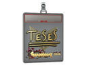 Sticker Slab | TeSeS (Gold) | Shanghai 2024