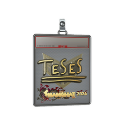 Sticker Slab | TeSeS (Gold) | Shanghai 2024
