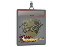 Sticker Slab | Twistzz (Gold) | Shanghai 2024