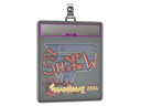 Sticker Slab | snow (Holo) | Shanghai 2024