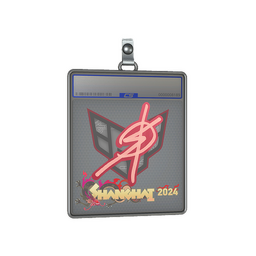 Sticker Slab | degster | Shanghai 2024