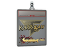 Sticker Slab | karrigan (Gold) | Shanghai 2024