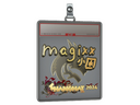 Sticker Slab | magixx (Gold) | Shanghai 2024