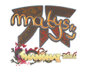 Sticker | MATYS (Holo) | Shanghai 2024