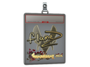 Sticker Slab | FlameZ (Gold) | Shanghai 2024