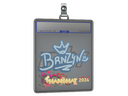 Sticker Slab | brnz4n | Shanghai 2024