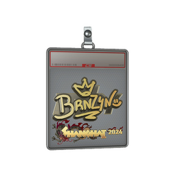 Sticker Slab | brnz4n (Gold) | Shanghai 2024