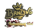 Sticker | brnz4n (Gold) | Shanghai 2024