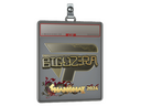 Sticker Slab | biguzera (Gold) | Shanghai 2024
