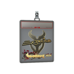 Sticker Slab | Ex3rcice (Gold) | Shanghai 2024
